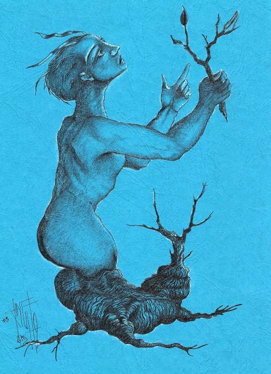 D 14