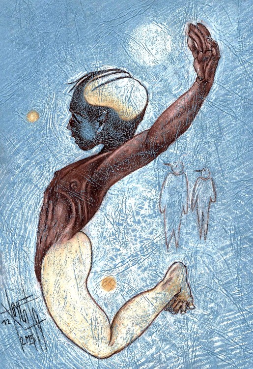 D 2 6 