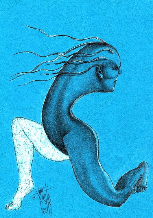 D 21