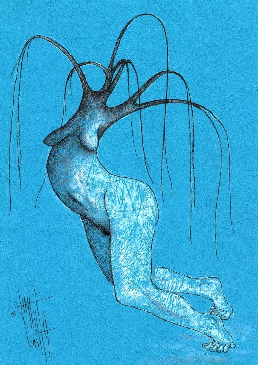 D 26